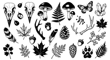 Forest elements hand drawn illustration © Îkhlas Art Zøne