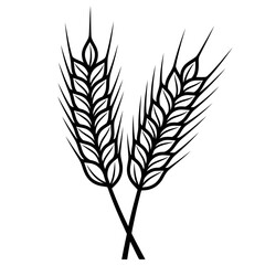 Obraz premium Illustration of wheat isolated on, representing harvest, grain, and agricultural abundance