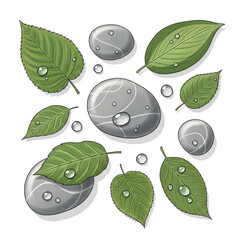 Drawing of leaves and rocks with water droplets on them. isolated illustration on  transparent background PNG