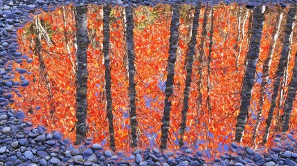 Autumn Forest Reflected in Water Puddle