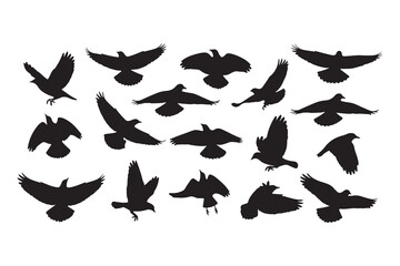 Simple graphic displaying the text 'vector file' on a white background