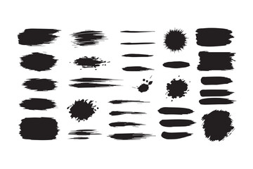 Vector file text on white background representing digital asset