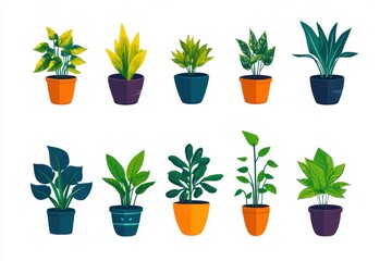 Obraz premium Colorful Indoor Plants in Decorative Pots for Home Decor