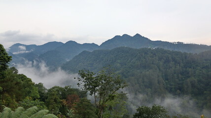Lush green mountains rise above the misty valley in the early morning light, creating a serene and peaceful landscape with a sense of tranquility.