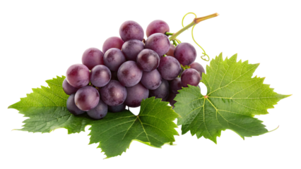Delicious crimson grapes with fresh leaves, ideal snack, perfect organic food for healthy eating, and a delightful culinary experience