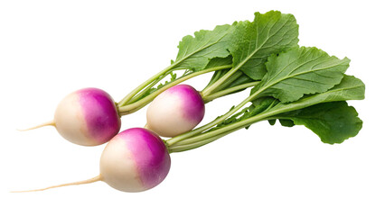 Fresh turnips with vibrant green leaves ready for healthy recipes and culinary creations, offering freshness and natural appeal