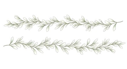 Fototapeta premium Rosemary and pine branches winter holiday illustration