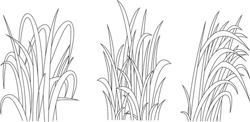  Grass Icon Set . Hand drawing line vector.