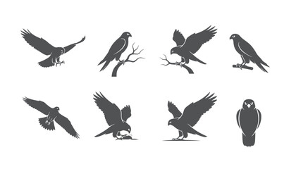 Falcon and Hawk Predator Bird Vector Silhouettes: Set of Icons in Flight, Perching, and Catching Prey for Wildlife Design