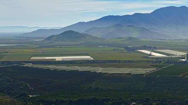 Aerial view of grape plantations protected with netting for Chilean pisco, lush mountains in the Limar&iacute; Valley on a sunny day, northern Chile