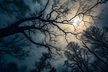 spooky halloween night