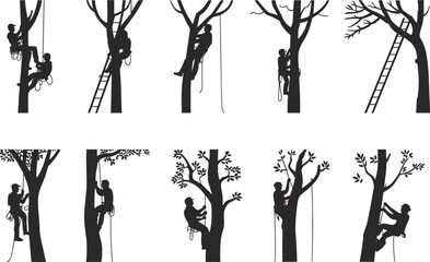 Tree climber arborist silhouettes working with ropes and ladders, professional tree trimming, pruning and maintenance, black and white illustration set