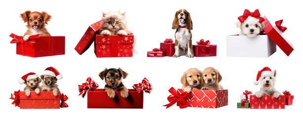 PNG Adorable puppies kittens gifts, element set on transparent background