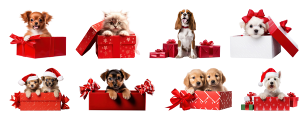 PNG Adorable puppies kittens gifts, element set on transparent background