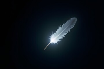 A feather glowing faintly in total darkness.