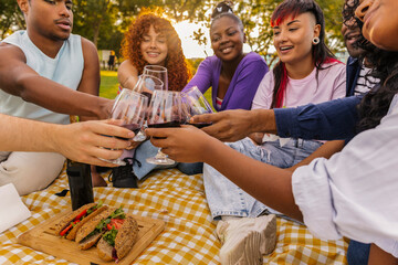 Diverse friends enjoying picnic in park toasting wine