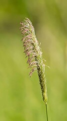 Single leaf on pastel background