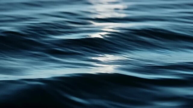 Calm Ocean Waves Ripple Under Sunlight Creating Peaceful Blue Surface Motion