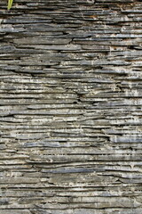 Abstract background of old wood texture
