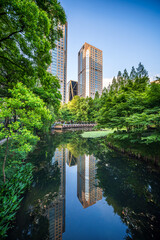 Obraz premium Tranquil Reflections in an Urban Park Surrounded by Skyscrapers