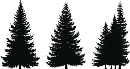 Obraz premium Conifer tree silhouette vector set, pine and fir shapes, black forest icons, nature illustration for stock content, isolated evergreen graphics