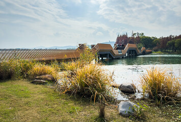 Tranquil Lake Scene Featuring a Unique Modern Boardwalk Among Lush Greenery