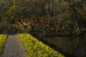 Naklejka premium Damage from Storm Claudia along the Leek branch of the Caldon canal in Staffordshire.
