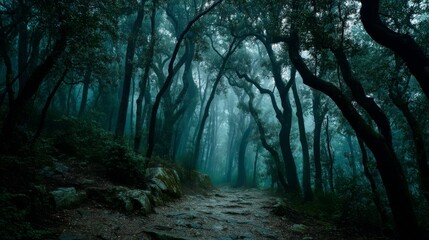 Dark dense forest scene in medieval Italy featuring twisted trees and mist