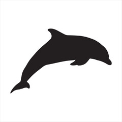 dolphin isolated on white background