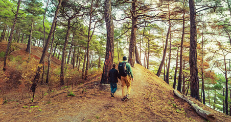 Father and son running on country footpath in autumn forest. The sunny day, tall pine trees, and yellowed leaves on the sides of the road create an atmosphere of active recreation