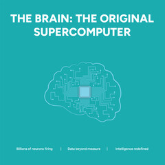 The brain the original supercomputer with data interconnection