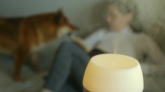Electric aromatherapy diffuser moisturizing air, woman relaxes on sofa with her shiba inu dog, creating tranquil, healthy atmosphere for wellbeing, relaxation at home. Air humidifier purifying.