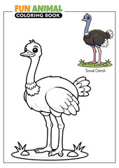 Obraz premium Somali Ostrich Bird Coloring Book Page for Kids with a Full Color Reference