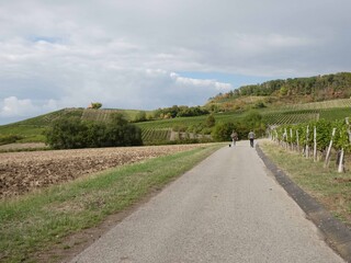 Spaziergang im Weinberg