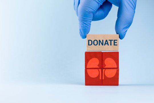 Organ donation awareness, kidney donor. A doctor wearing gloves builds red wooden cubes with a kidney icon and the message Donate on a light blue background. - Powered by Adobe