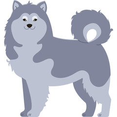 Fluffy Siberian Husky dog standing profile view light grey and white fur with curled tail happy expression simple illustration transparent background
