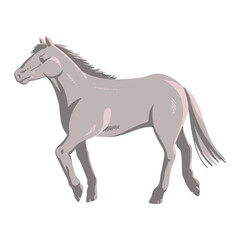 写実的な白馬のイラスト