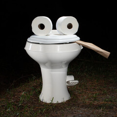 Laughable travel trailer toilet discarded in the night and made to look like it's alive