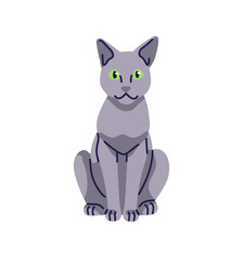 Cute Russian Blue cat sits front view. Funny kitty with gray color of coat relaxes. Happy grey kitten. Adorable pet, domestic animal has a rest. Flat isolated vector illustration on white background