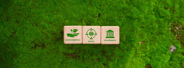 Business balance for life and the world towards sustainability, environment, society and governance
