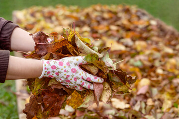 Fall Leaves in Garden. Using Leaves as Mulch. Composting Leaves in Garden Bed. Leaving the Leaves in Garden.
