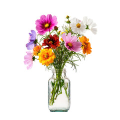 Colorful cosmos flowers in glass jar, against black