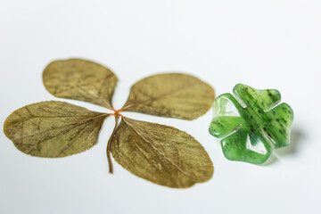 Two four-leaf clovers on background