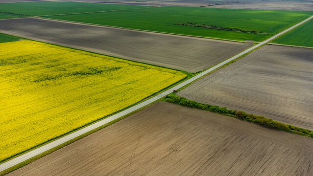 Aerial view of vibrant agricultural fields, a symphony of green, brown, and yellow hues intersected by a straight road, Osijek, Osijek-Baranja County, Croatia.