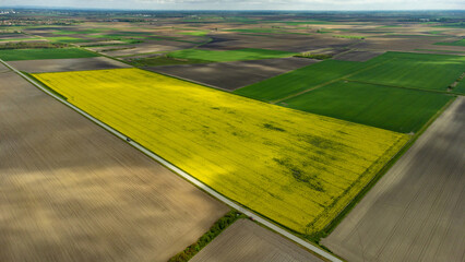 Aerial view of vibrant yellow fields juxtaposed against earthy browns and lush greens, painting a picturesque agricultural mosaic., Osijek, Osijek-Baranja County, Croatia.