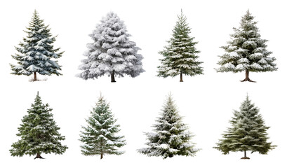 Obraz premium PNG Snow-covered evergreen trees collection, element set on transparent background