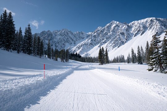 Wide-angle view of a biathlon competition trail in winter landscape