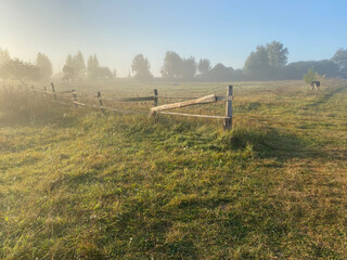 Fototapeta premium Foggy Morning
