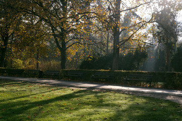 Park scene with autumn trees, sunlight filtering through branches onto a paved path and green...