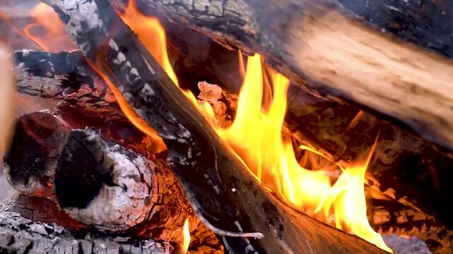 Slow motion shot of cooking of traditional Pakistani street food chappal kabab